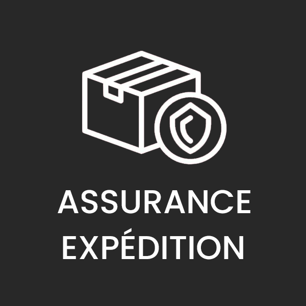 Assurance d'expédition (couverture pour les colis perdus jusqu'à 250 € )